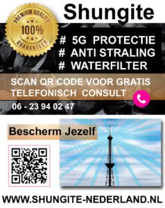 Gratis Shungite consult 1 Gratis Shungite Advies